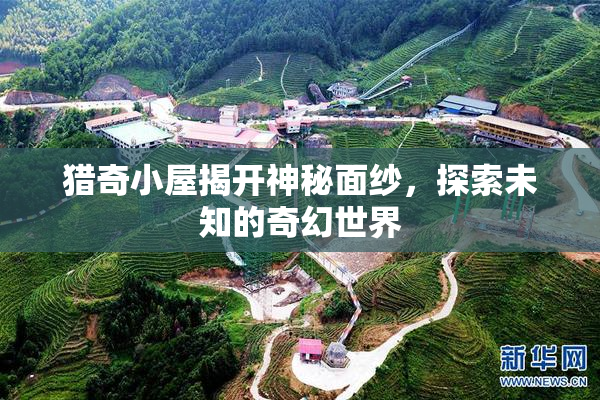 猎奇小屋揭开神秘面纱，探索未知的奇幻世界