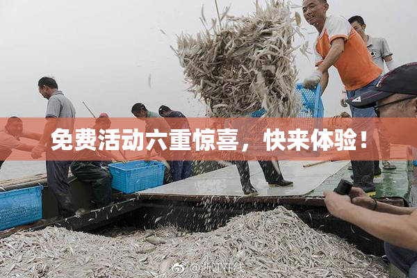 免费活动六重惊喜，快来体验！
