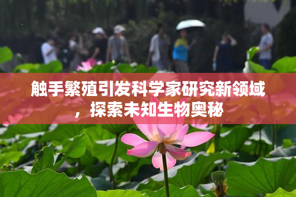 触手繁殖引发科学家研究新领域，探索未知生物奥秘
