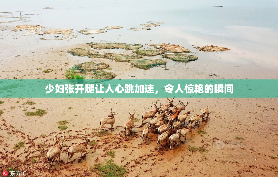 少妇张开腿让人心跳加速，令人惊艳的瞬间