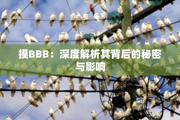 摸BBB：深度解析其背后的秘密与影响