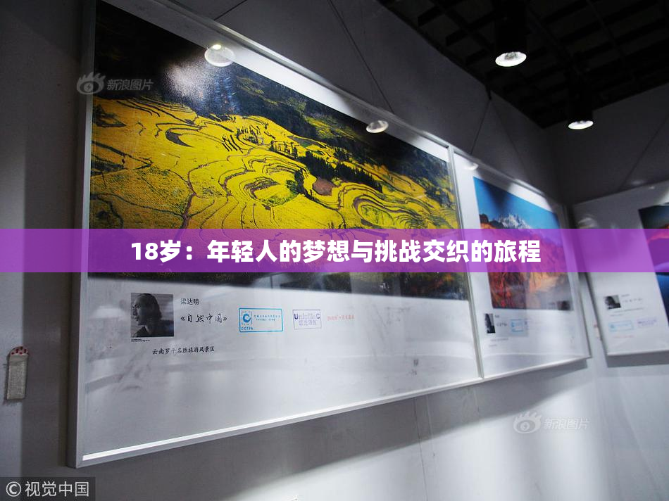 18岁：年轻人的梦想与挑战交织的旅程