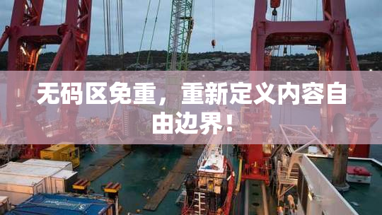 无码区免重，重新定义内容自由边界！