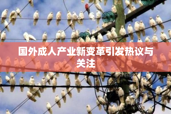国外成人产业新变革引发热议与关注