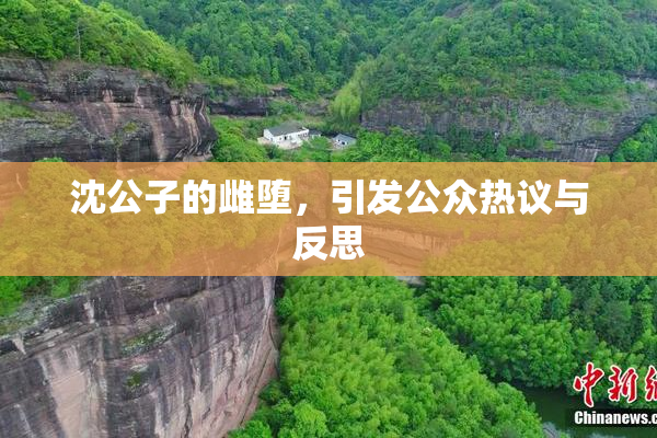 沈公子的雌堕，引发公众热议与反思