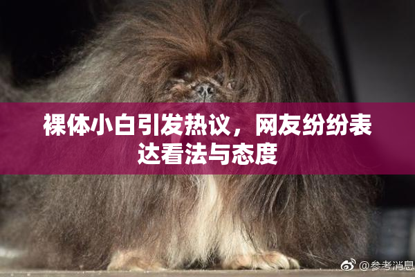 裸体小白引发热议，网友纷纷表达看法与态度