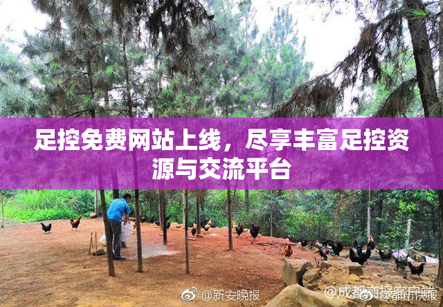 足控免费网站上线，尽享丰富足控资源与交流平台