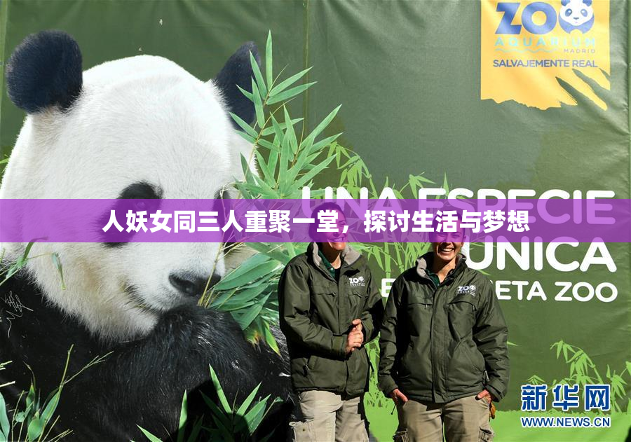 人妖女同三人重聚一堂，探讨生活与梦想