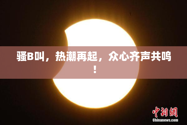 骚B叫，热潮再起，众心齐声共鸣！