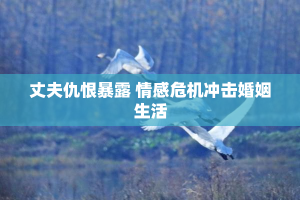 丈夫仇恨暴露 情感危机冲击婚姻生活