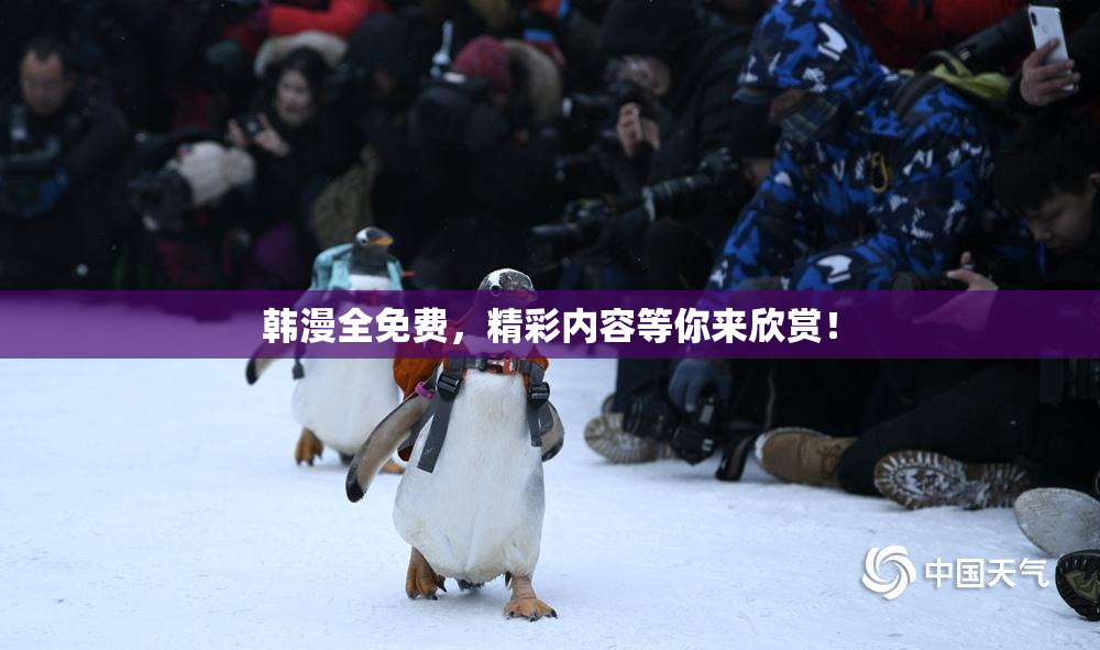 韩漫全免费，精彩内容等你来欣赏！