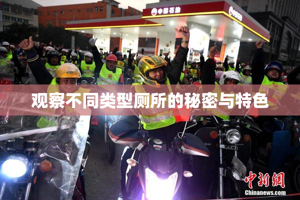 观察不同类型厕所的秘密与特色