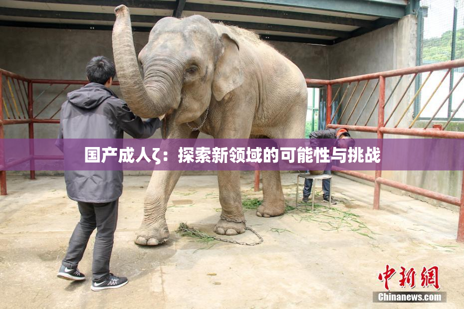 国产成人ζ：探索新领域的可能性与挑战