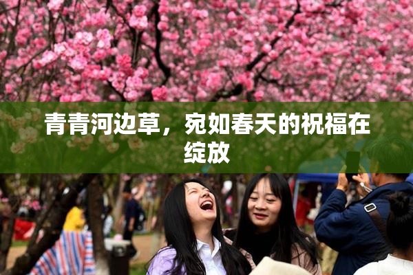 青青河边草，宛如春天的祝福在绽放