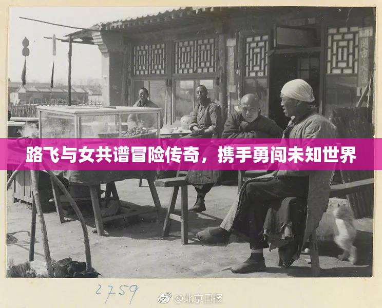 路飞与女共谱冒险传奇，携手勇闯未知世界
