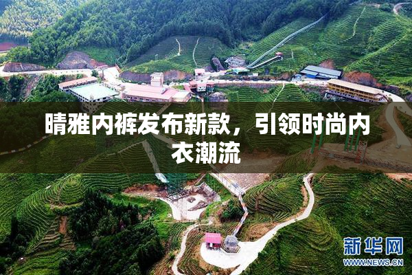 晴雅内裤发布新款，引领时尚内衣潮流