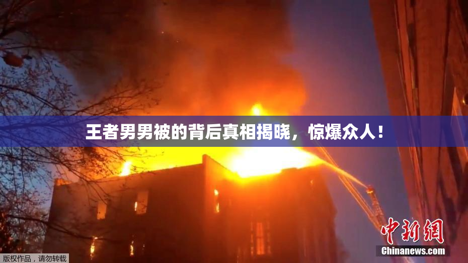 王者男男被的背后真相揭晓，惊爆众人！