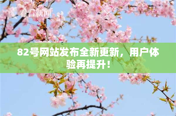 82号网站发布全新更新，用户体验再提升！
