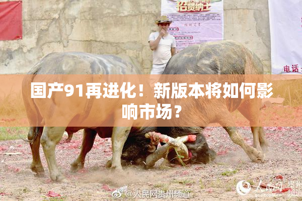 国产91再进化！新版本将如何影响市场？