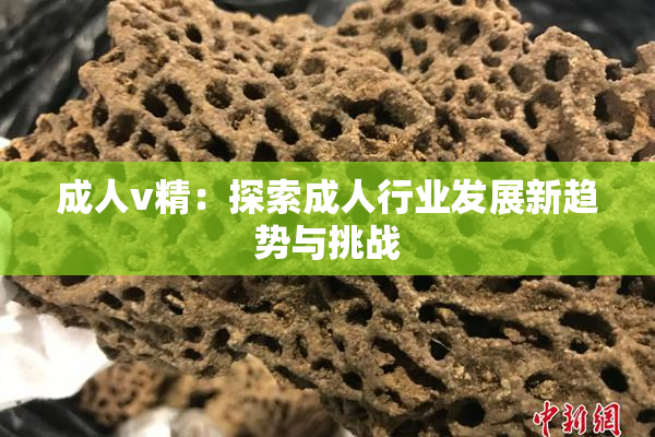 成人v精：探索成人行业发展新趋势与挑战