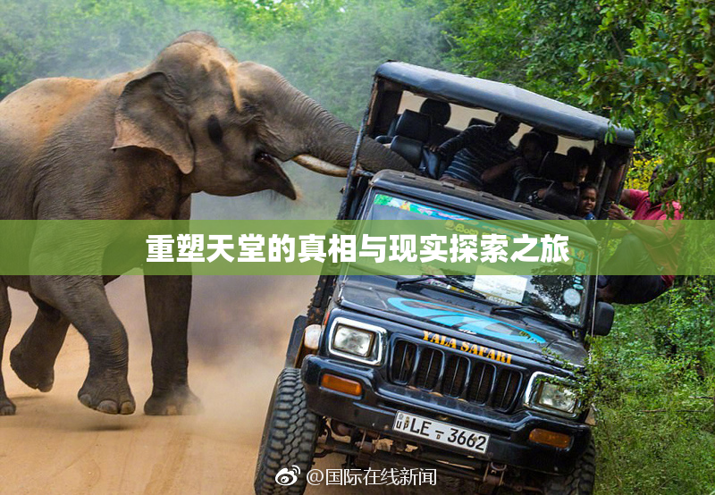重塑天堂的真相与现实探索之旅