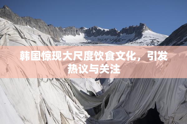韩国惊现大尺度饮食文化，引发热议与关注
