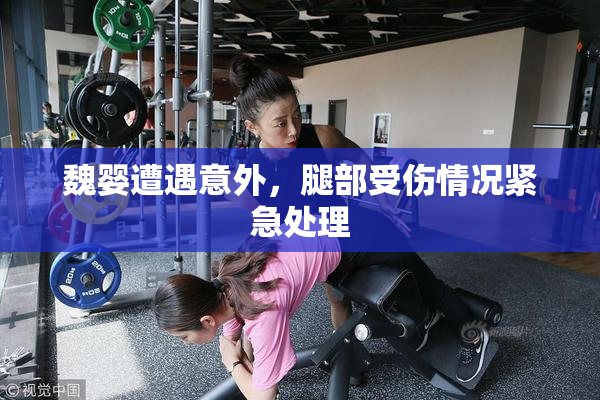 魏婴遭遇意外，腿部受伤情况紧急处理