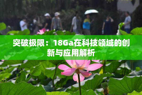突破极限：18Ga在科技领域的创新与应用解析