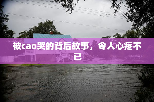 被cao哭的背后故事，令人心疼不已