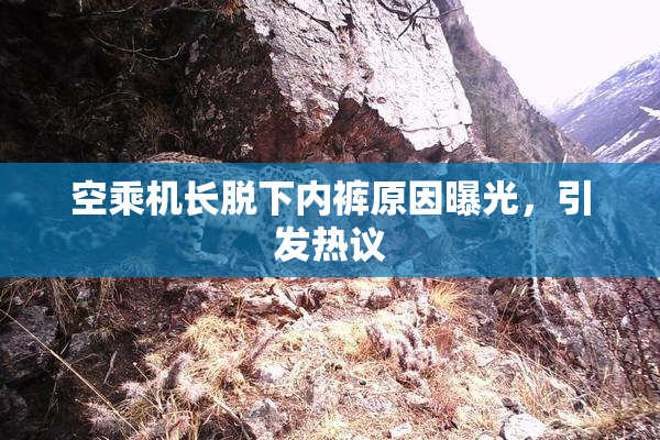 空乘机长脱下内裤原因曝光，引发热议