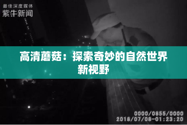 高清蘑菇：探索奇妙的自然世界新视野