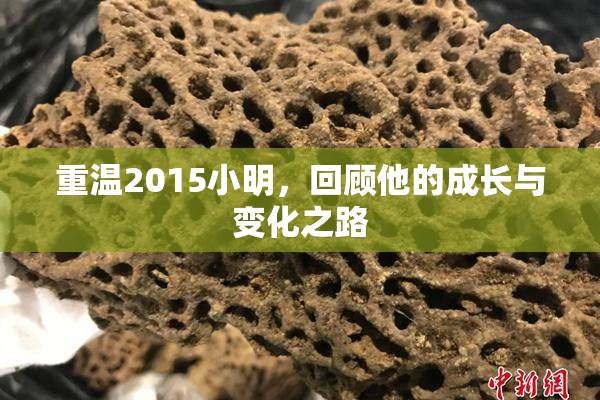 重温2015小明，回顾他的成长与变化之路
