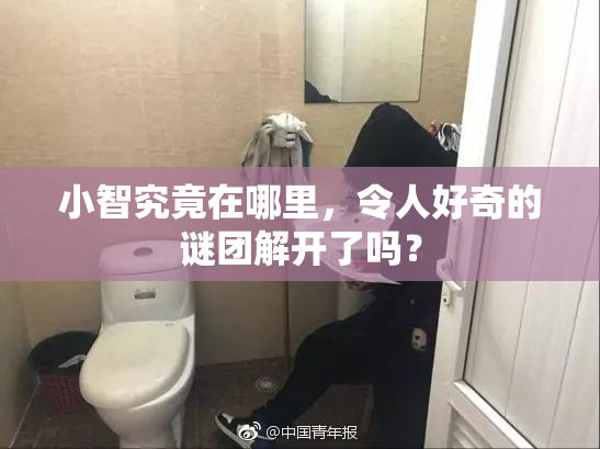 小智究竟在哪里，令人好奇的谜团解开了吗？