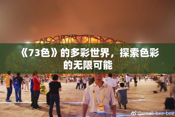 《73色》的多彩世界，探索色彩的无限可能