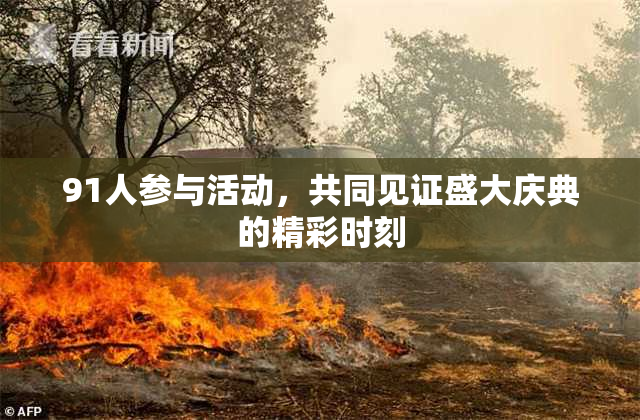 91人参与活动，共同见证盛大庆典的精彩时刻