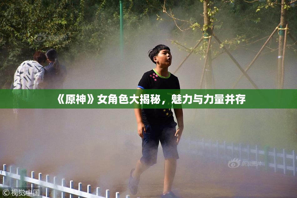 《原神》女角色大揭秘，魅力与力量并存