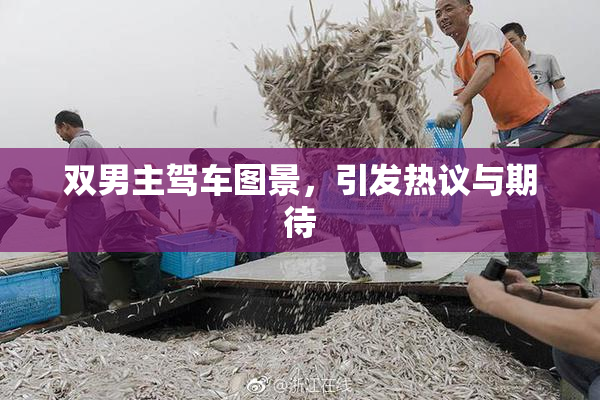 双男主驾车图景，引发热议与期待