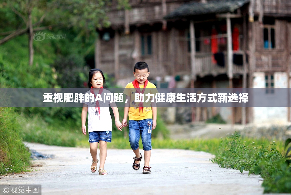 重视肥胖的A问题，助力健康生活方式新选择