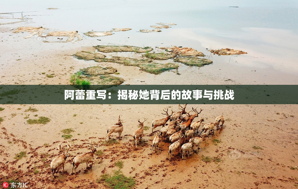 阿蕾重写：揭秘她背后的故事与挑战