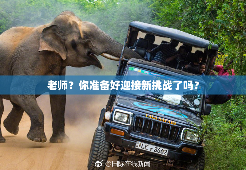 老师？你准备好迎接新挑战了吗？