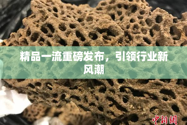精品一流重磅发布，引领行业新风潮