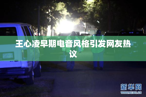 王心凌早期电音风格引发网友热议