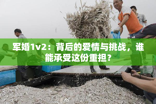 军婚1v2：背后的爱情与挑战，谁能承受这份重担？