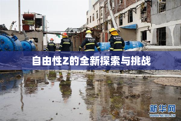 自由性Z的全新探索与挑战