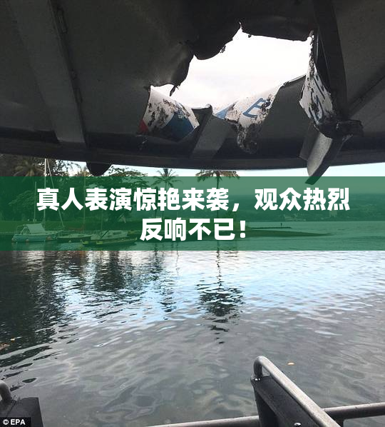 真人表演惊艳来袭，观众热烈反响不已！