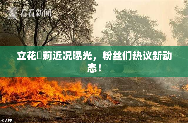 立花瑠莉近况曝光，粉丝们热议新动态！