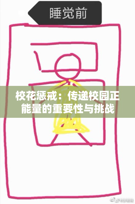 校花惩戒：传递校园正能量的重要性与挑战