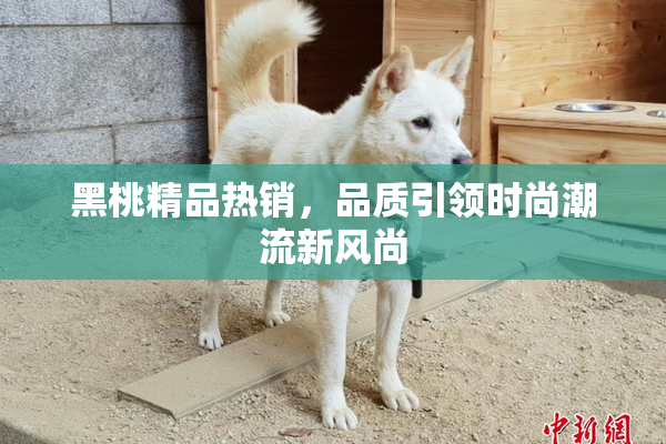 黑桃精品热销，品质引领时尚潮流新风尚