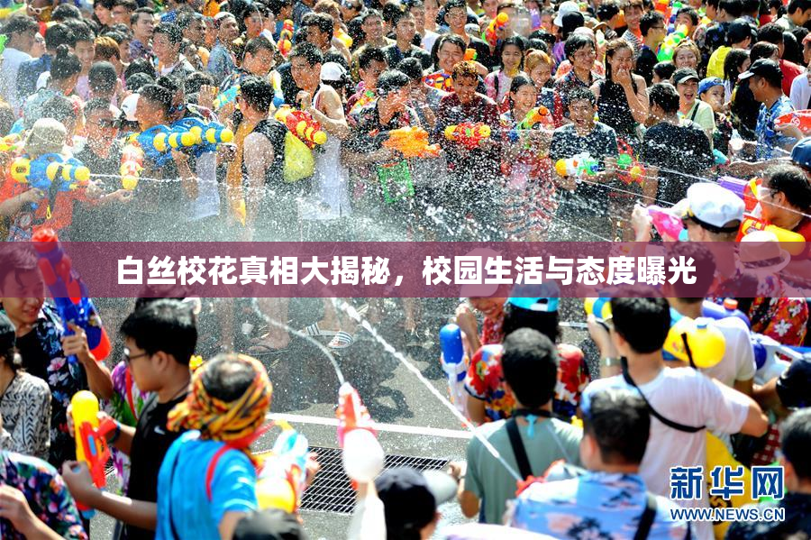 白丝校花真相大揭秘，校园生活与态度曝光