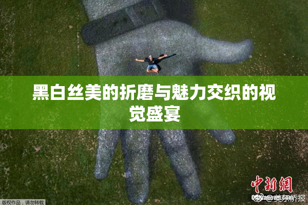 黑白丝美的折磨与魅力交织的视觉盛宴